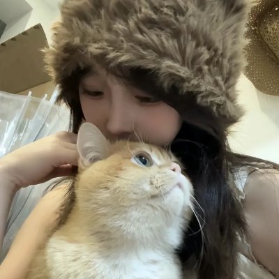 双生赤狐